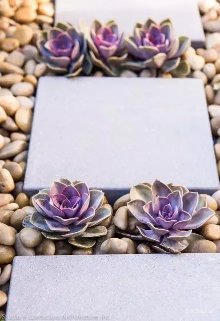 院子虽小，却可以别有温情