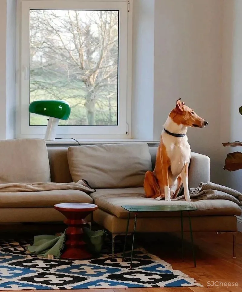 4套软装色彩家居