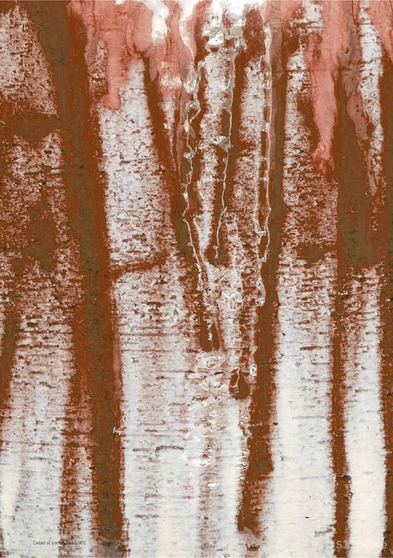 新作|布鲁盟设计 630㎡ 顶级艺术合院,自在与安静的完美演绎