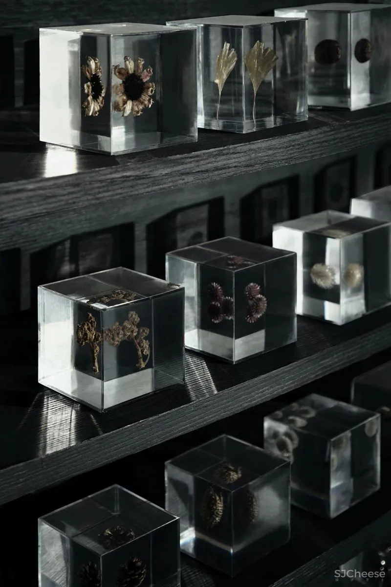 关联以空间的「解构性」和「抽象性」 构序「超现实的界面」