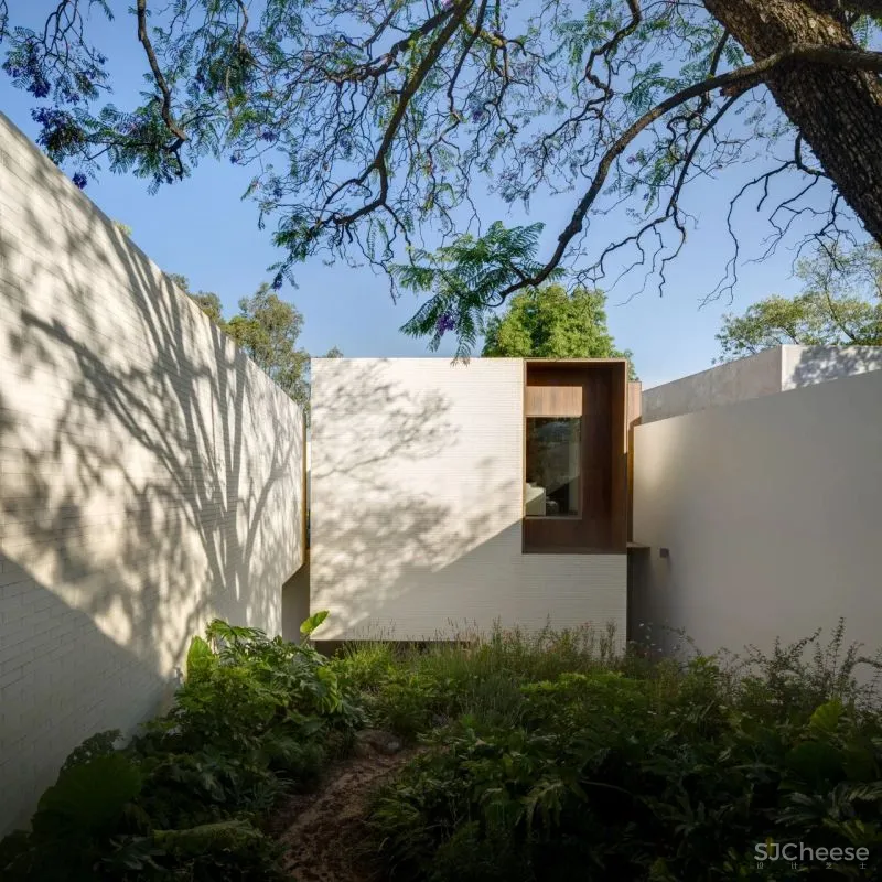 Manuel Cervantes Estudio丨设计这么玩,光影从此更高级