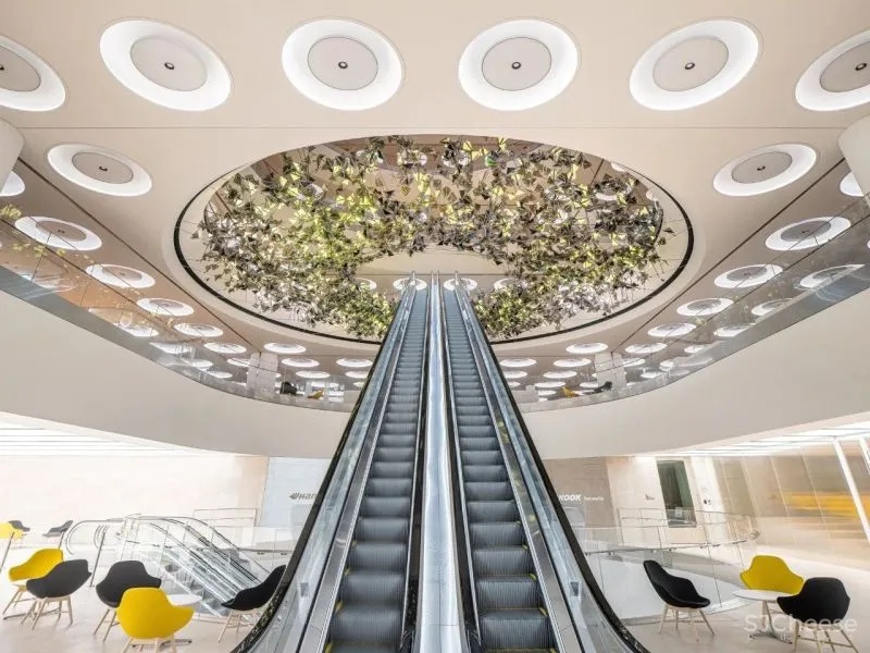 2020 年度最佳办公空间