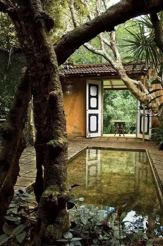 中式庭院,这才是最让我们心动的院子