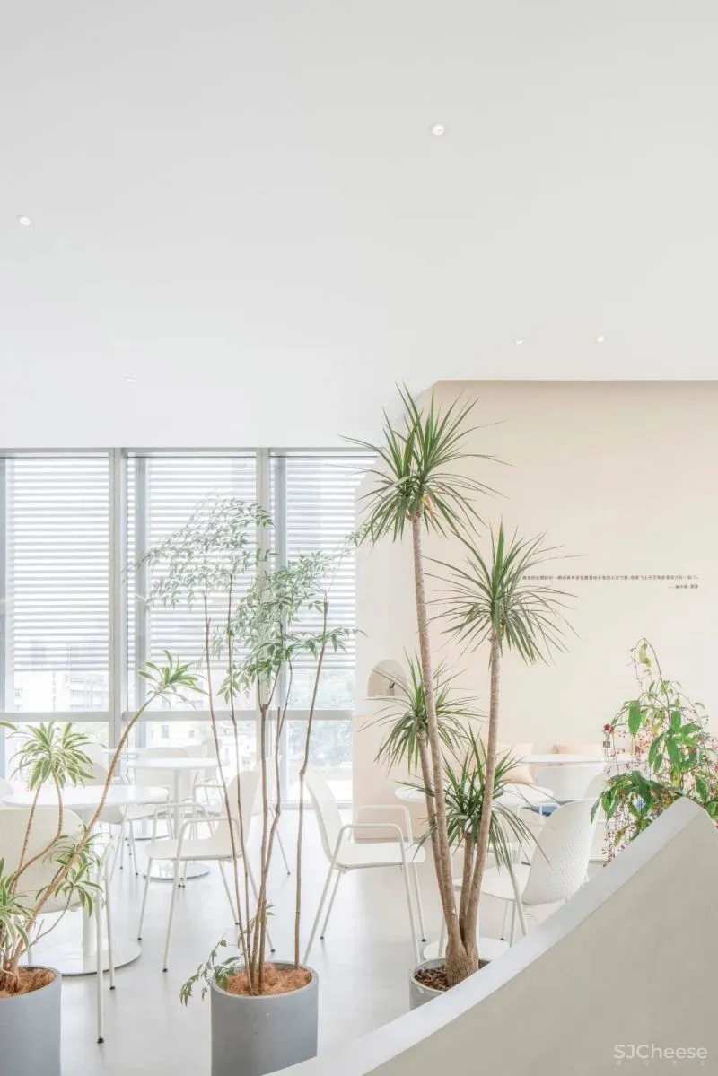 不相信地域主义的建筑师,竟在深圳创造出160㎡的“地域主义”「未来商店」?