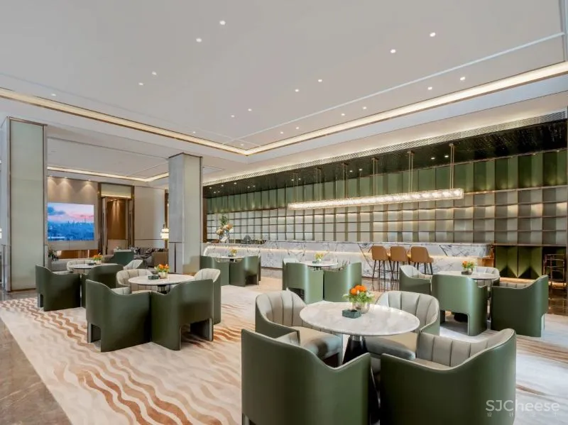 TT新作 万物有灵 将自然搬到龙光天宸的设计中去