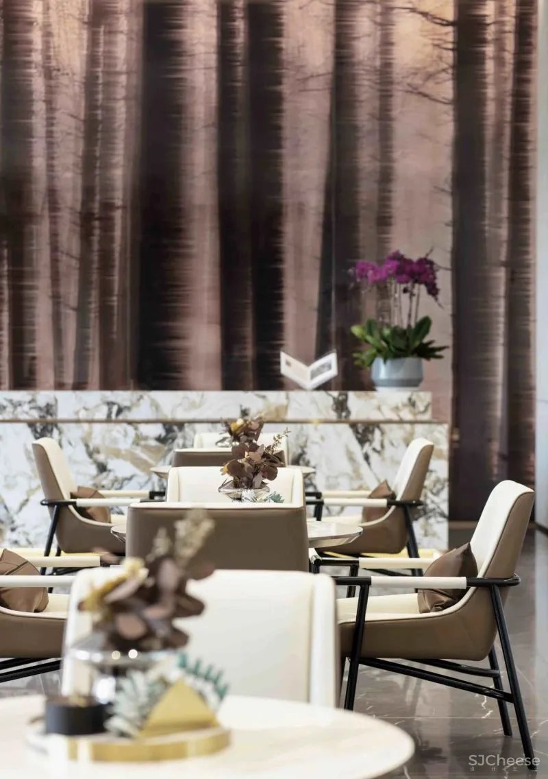 置在设计:在星光森林畅游梦想