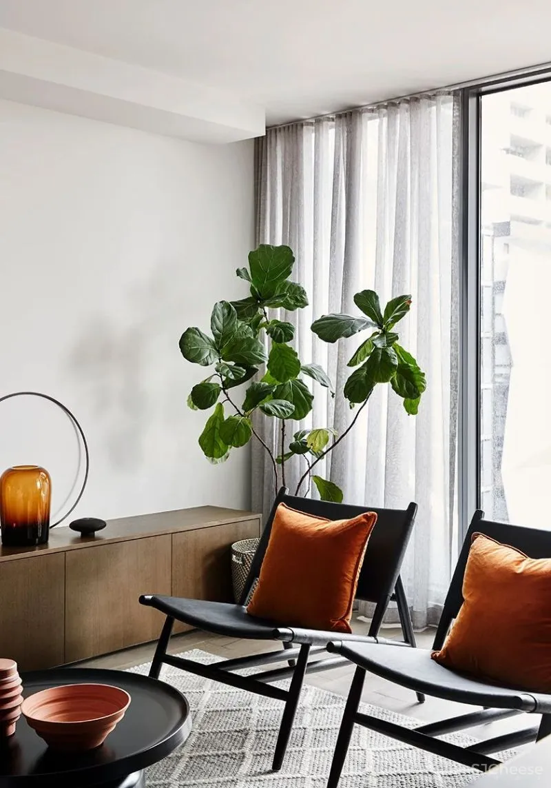 软装,简约雅致搭配,一种美感艺术