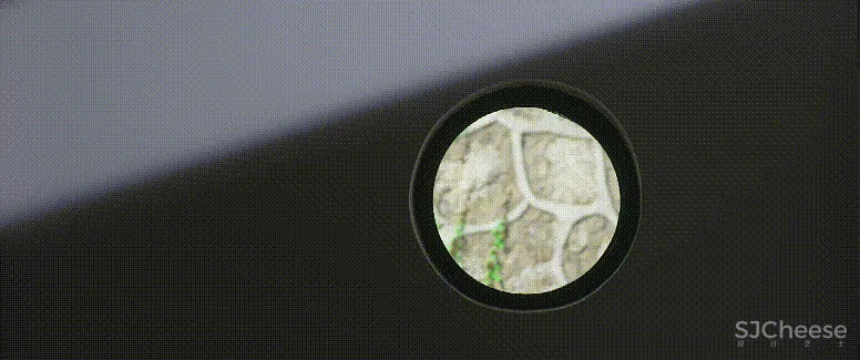 新作 终于来了，2020 中国最美幼儿园——广州圣果国际幼儿园！