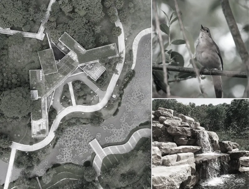 觉度设计:绿水行舟,述当代设计语言中的人文与自然