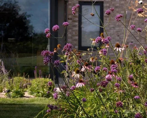 现代乡村住宅,简单又优雅!