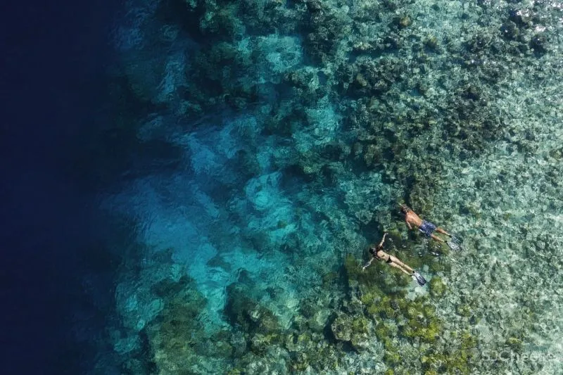 华尔道夫今日揭幕马代私人岛屿，买星星吃北京烤鸭，还能做岛主