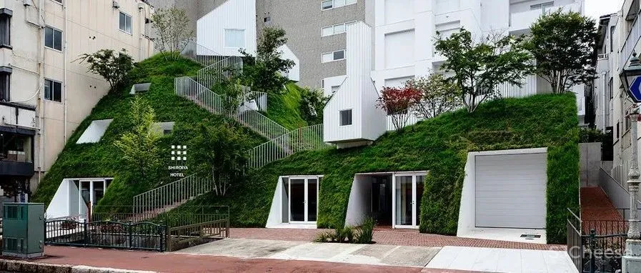 2020 年度最佳酒店名单