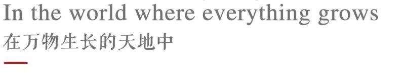 新作 终于来了，2020 中国最美幼儿园——广州圣果国际幼儿园！