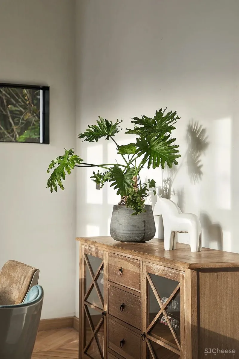 石伟达:从理性逻辑中寻找创意灵感