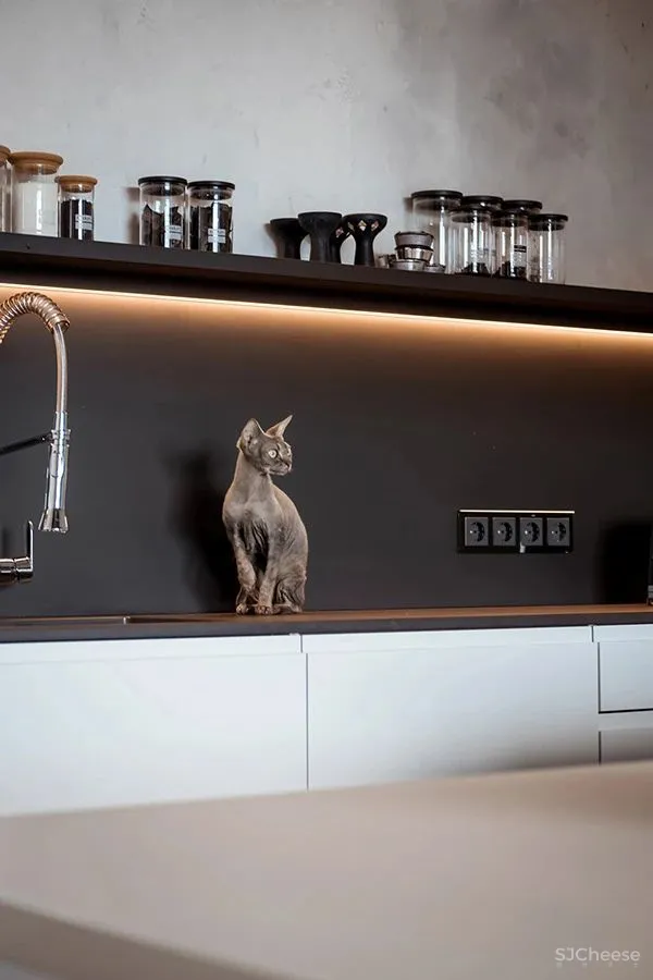 三间小公寓拼成136平大宅,时髦得不像话,人和猫都安逸!