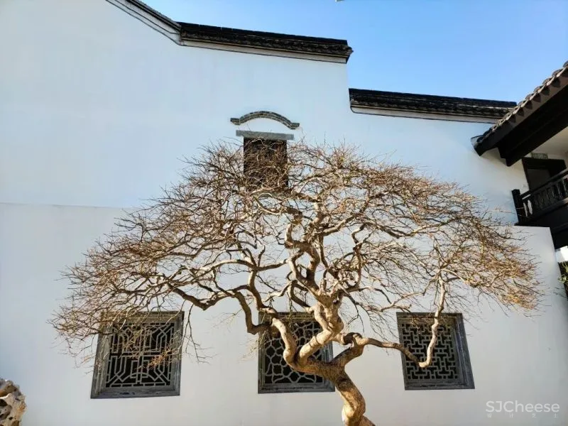 东钱湖畔再现国牌奢华酒店，在隈研吾的美术馆旁，建了一座日式庭院