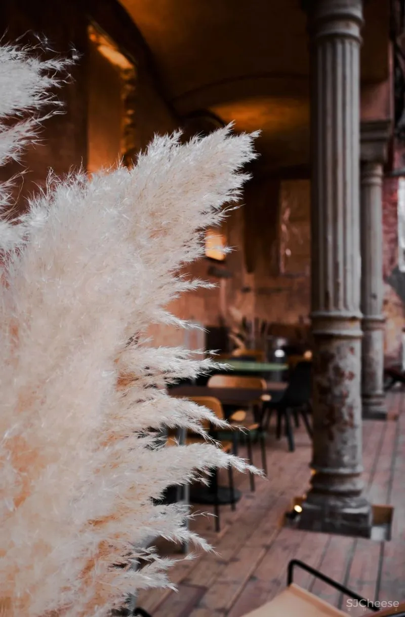 DA bureau丨圣彼得堡从“废墟”中生长出的建筑庭院