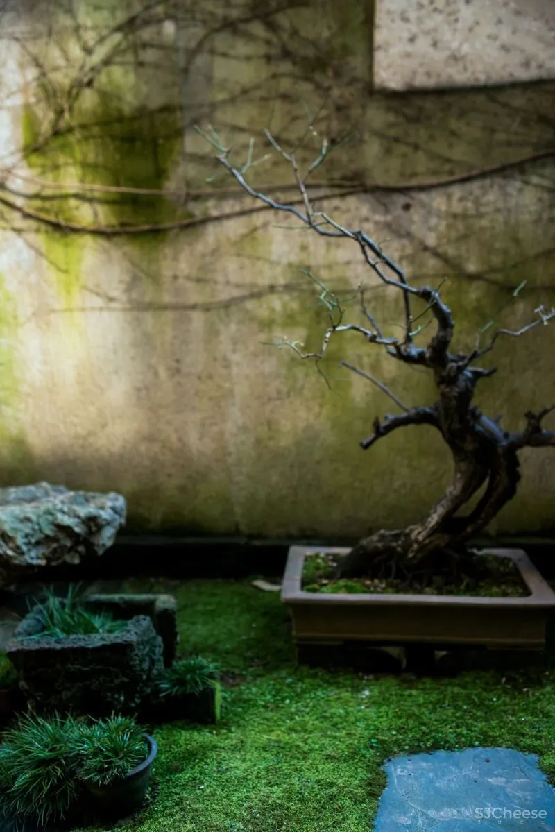 中式庭院,这才是最让我们心动的院子