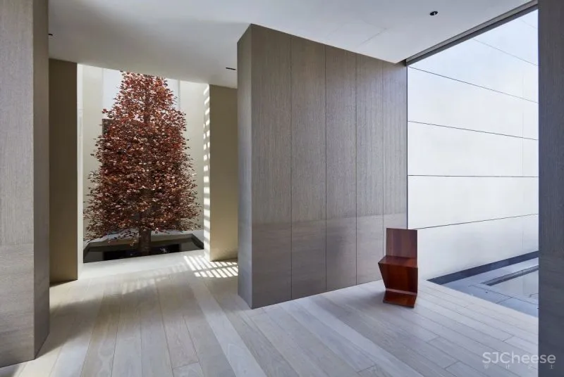 SCDA 绝美的优雅