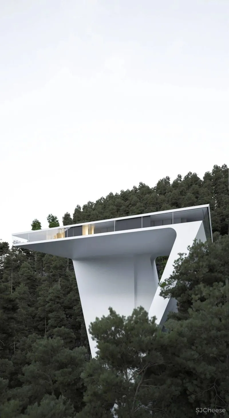 Roman Vlasov 疯狂又浪漫的设计