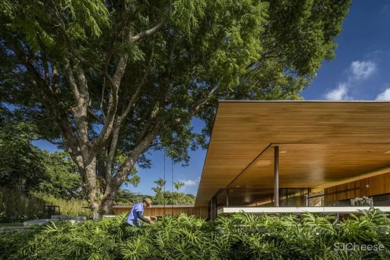 尊重自然，让建筑退让 Jacobsen