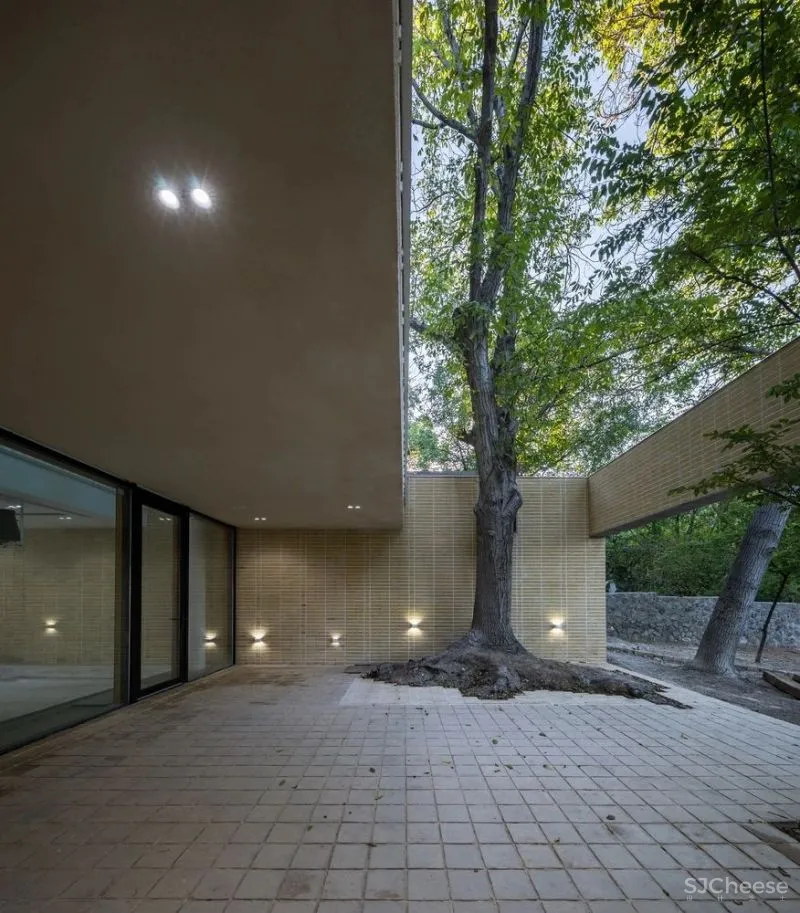 麦迪别墅 迪达办公室