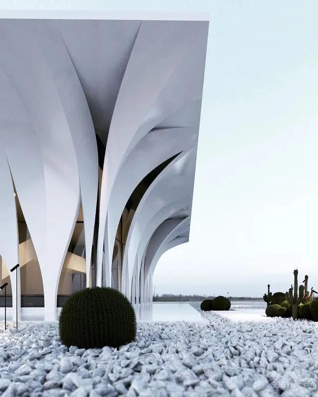 Roman Vlasov 疯狂又浪漫的设计