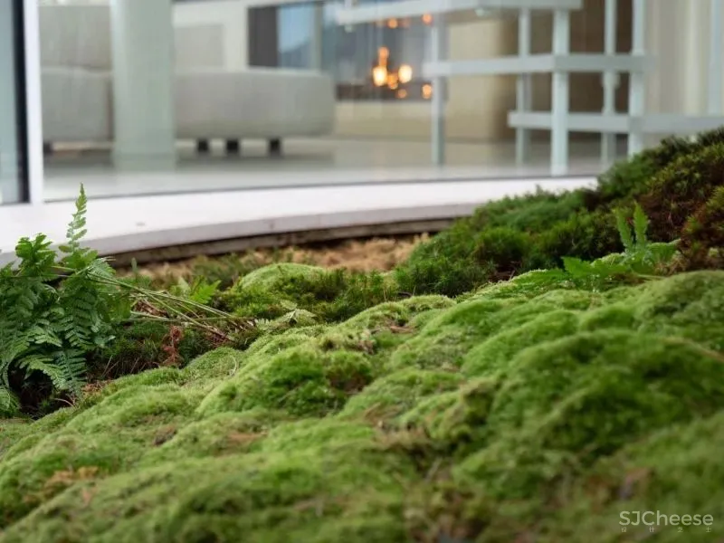 1000㎡神仙般的湖景酒店别墅，秒杀上亿的海景豪宅！