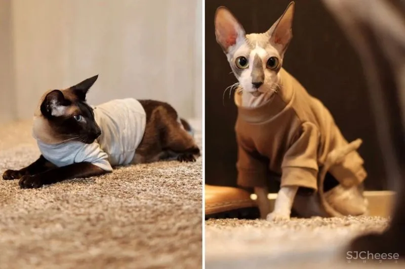 GTD 新作 一纳夫 · 皮革研究所