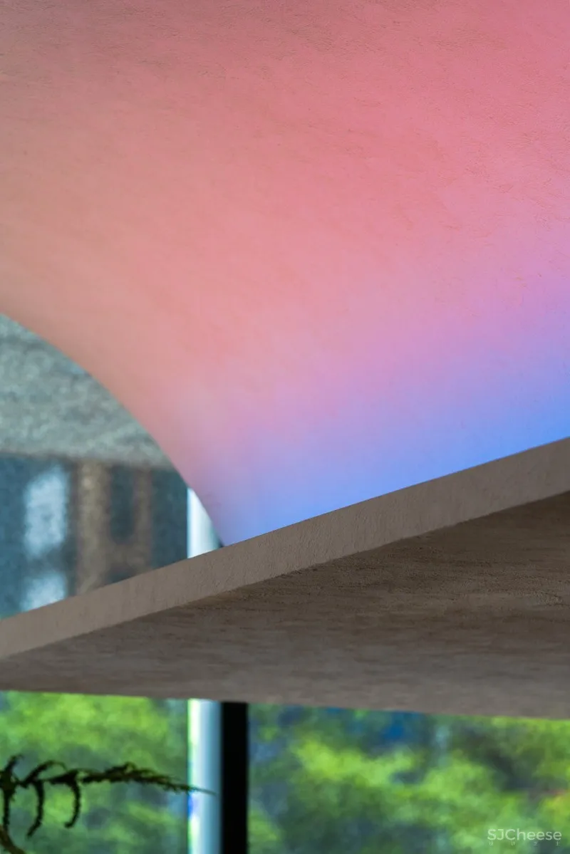 这一年 刘芮言 关注“存在的意义”,而非满足于“存在”