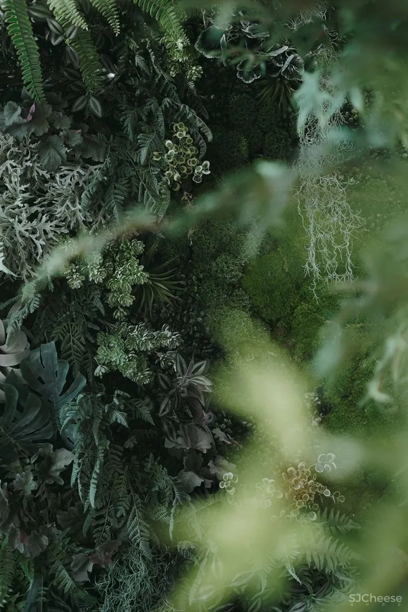 关联以空间的「解构性」和「抽象性」 构序「超现实的界面」