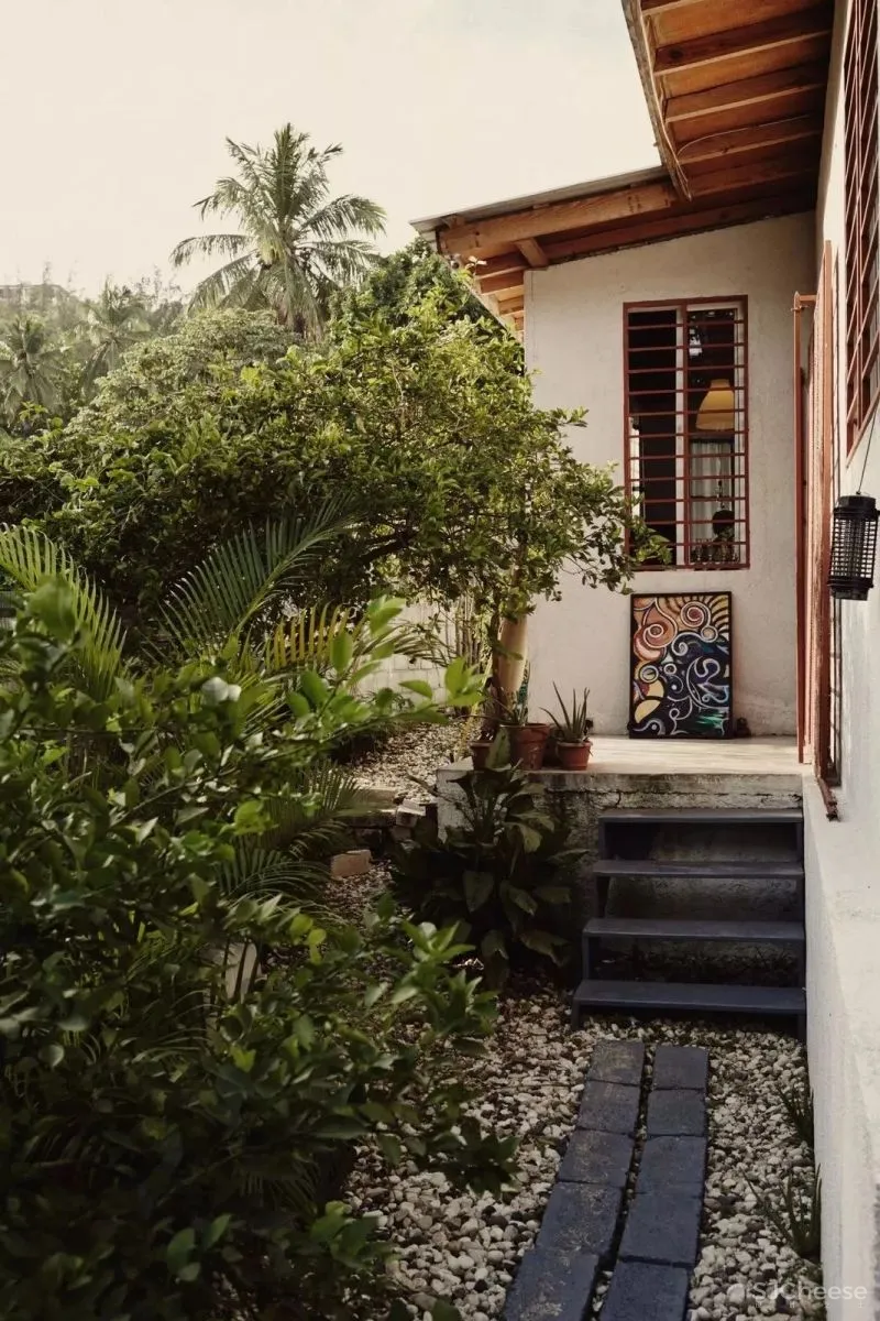 假如，你有个院子...