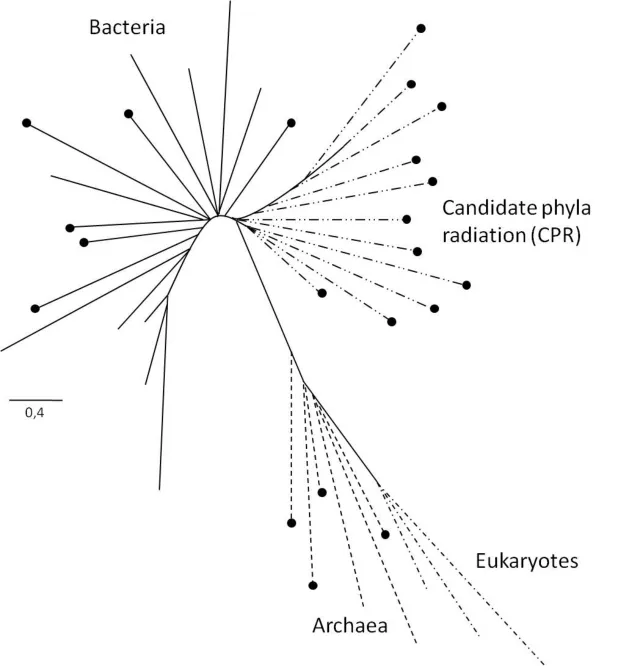 伍玛设计:点、线、面,进化中释放数字浪漫