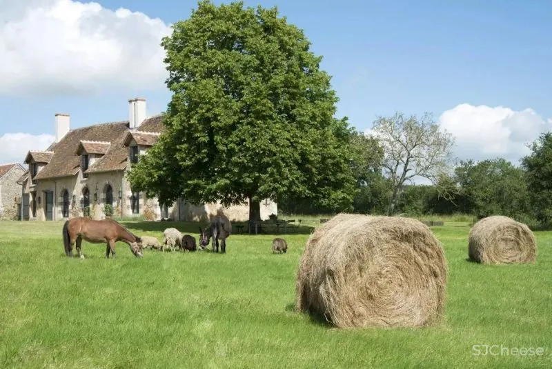 Jean Louis Deniot-法国最受追捧的国际室内设计师之一