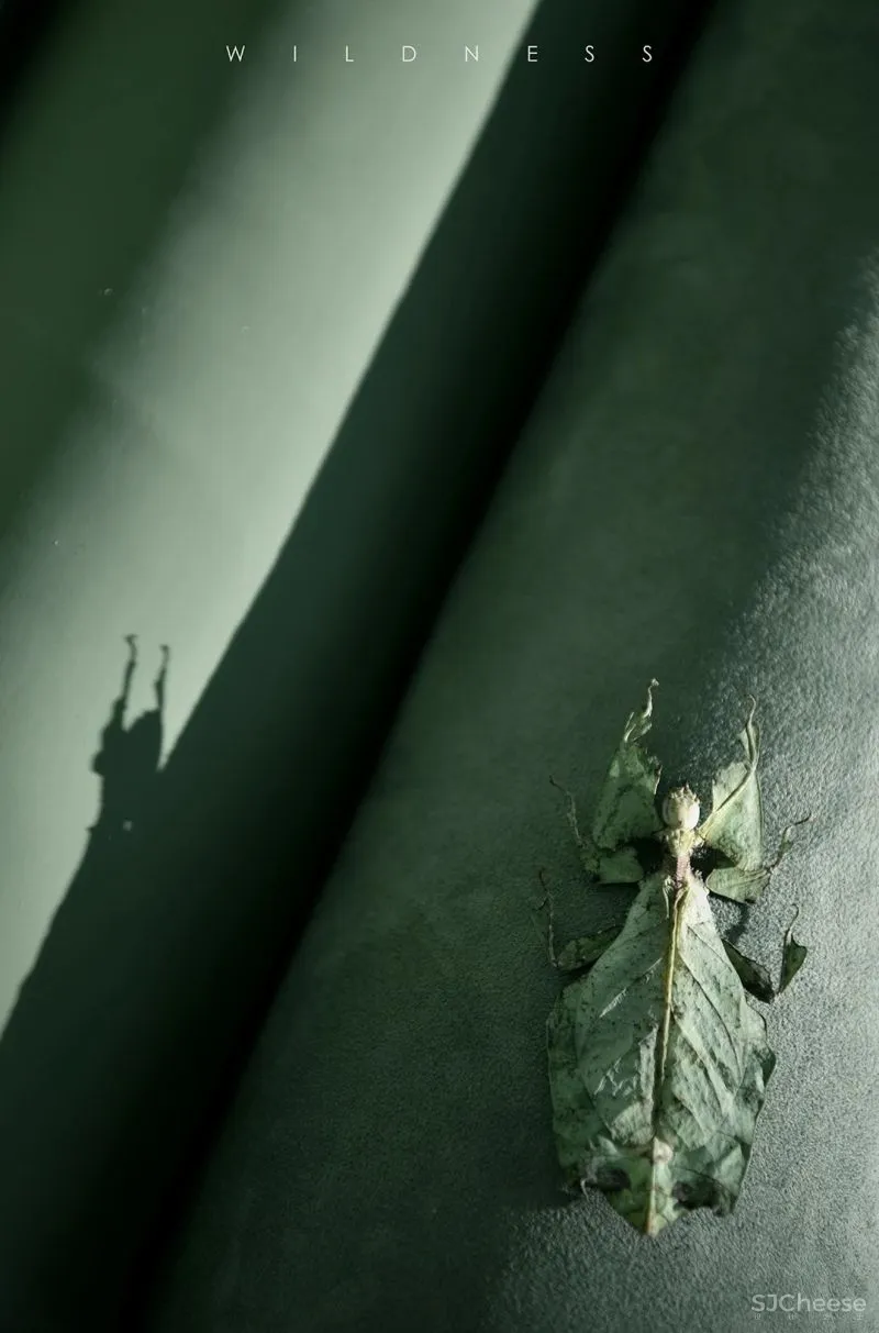 关联以空间的「解构性」和「抽象性」 构序「超现实的界面」