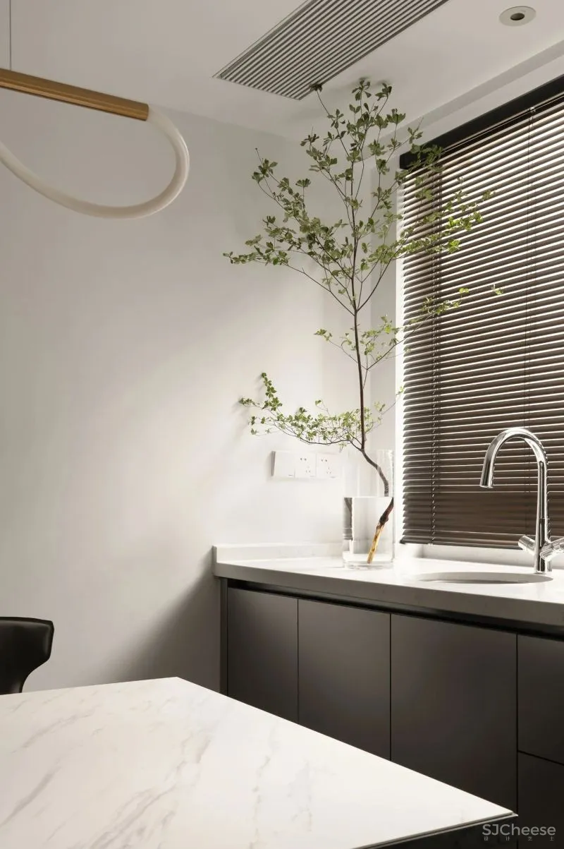 一片安神林 DNA设计