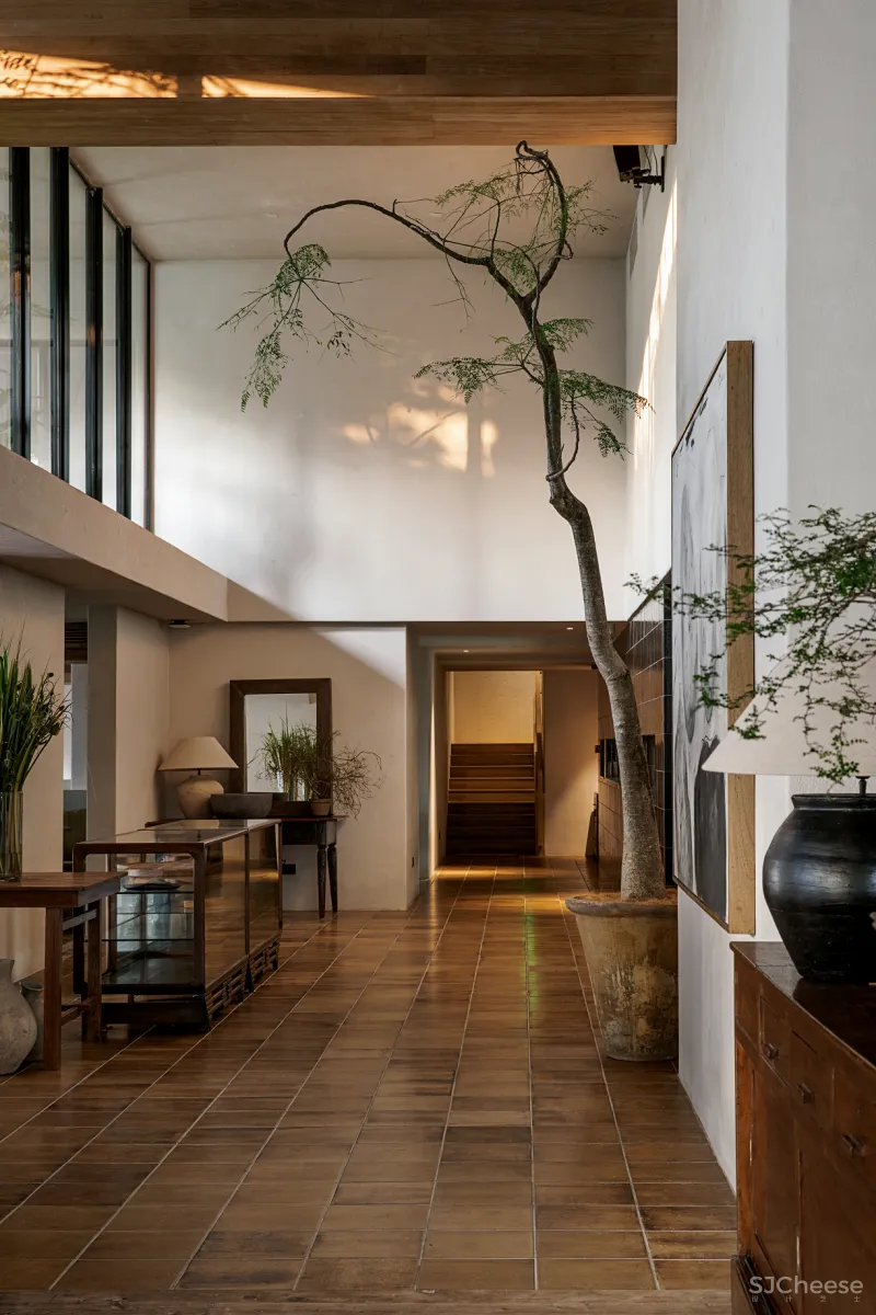 这一年 谢柯:设计,就是保持自我、保持好奇、保持纯净的过程