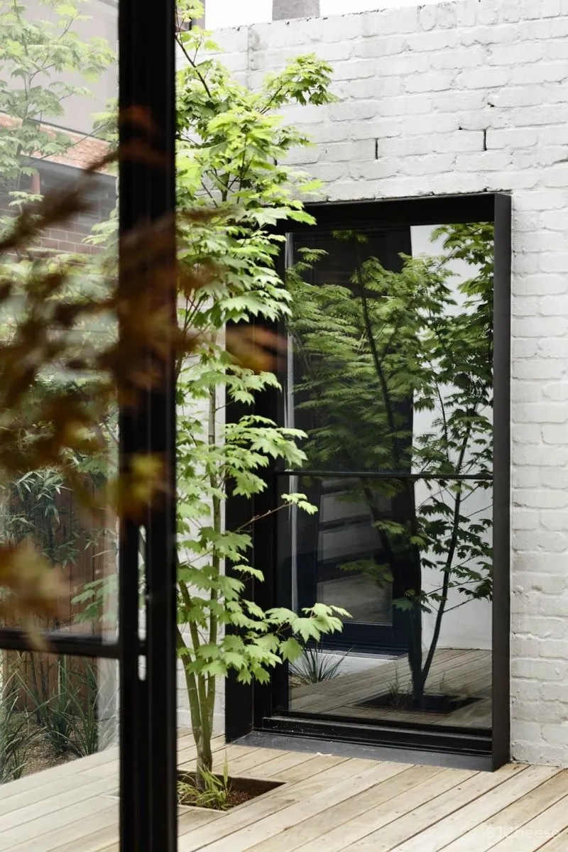 Tom Robertson 非凡的质感