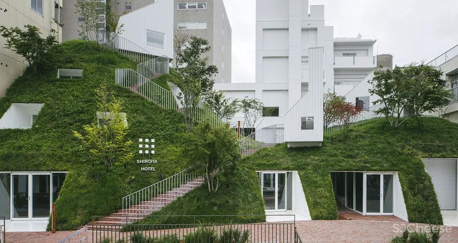 2020 年度最佳酒店名单