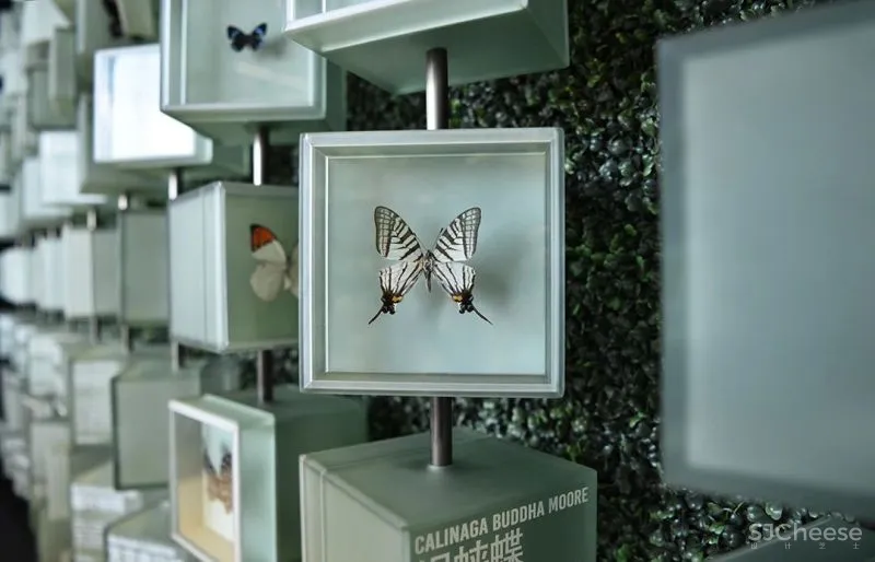 关联以空间的「解构性」和「抽象性」 构序「超现实的界面」