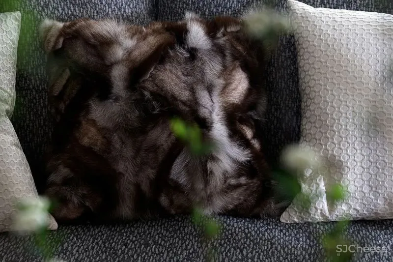 鸿艺源设计:多元生活的理想家,质感百变超混搭!