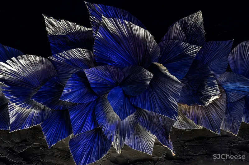 邵龙 • 在木星酒吧|不甘寂寞的宇宙星空,感性与理性的交替共振