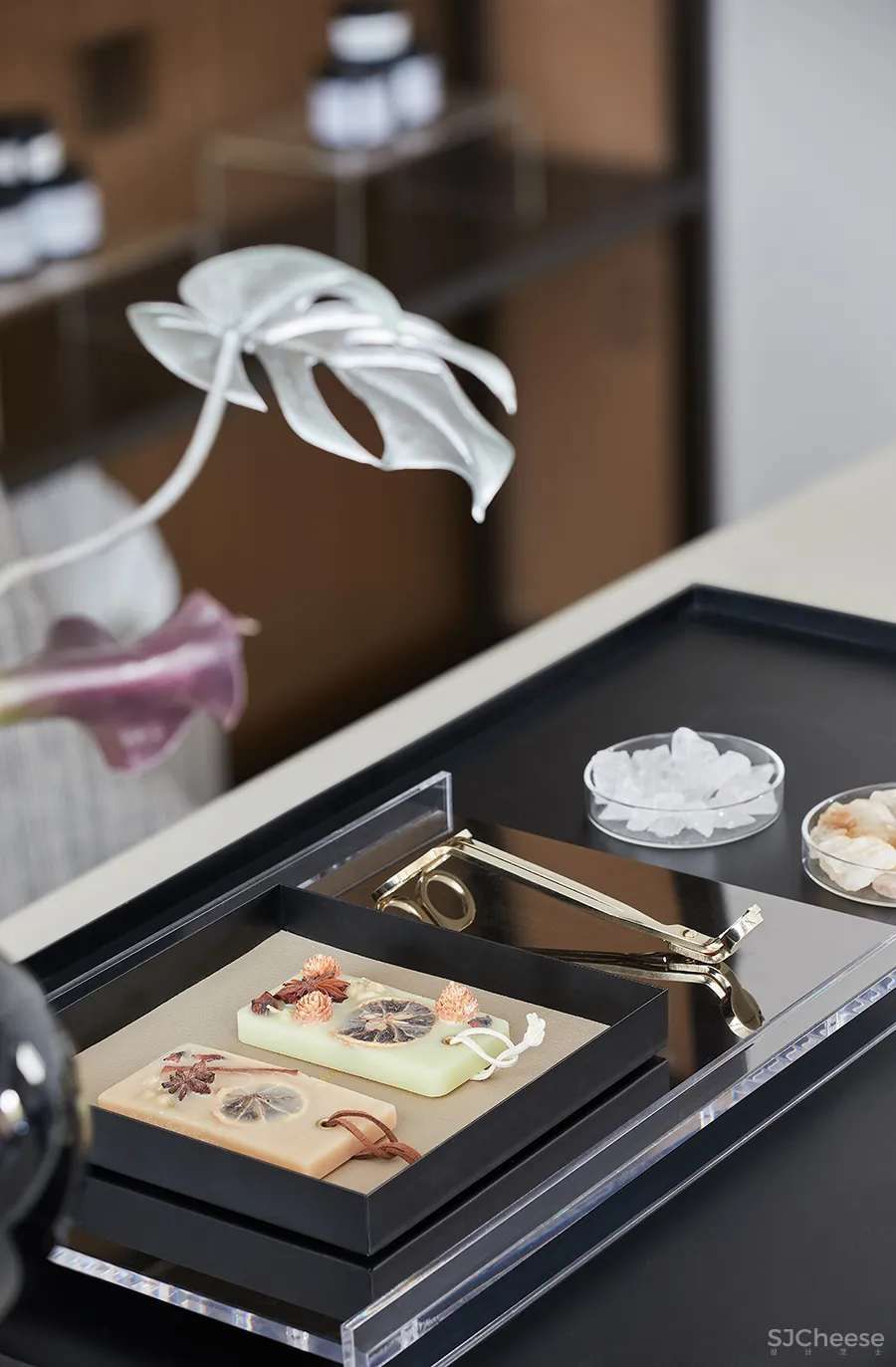 方磊：多重视角，共探人居新风尚！