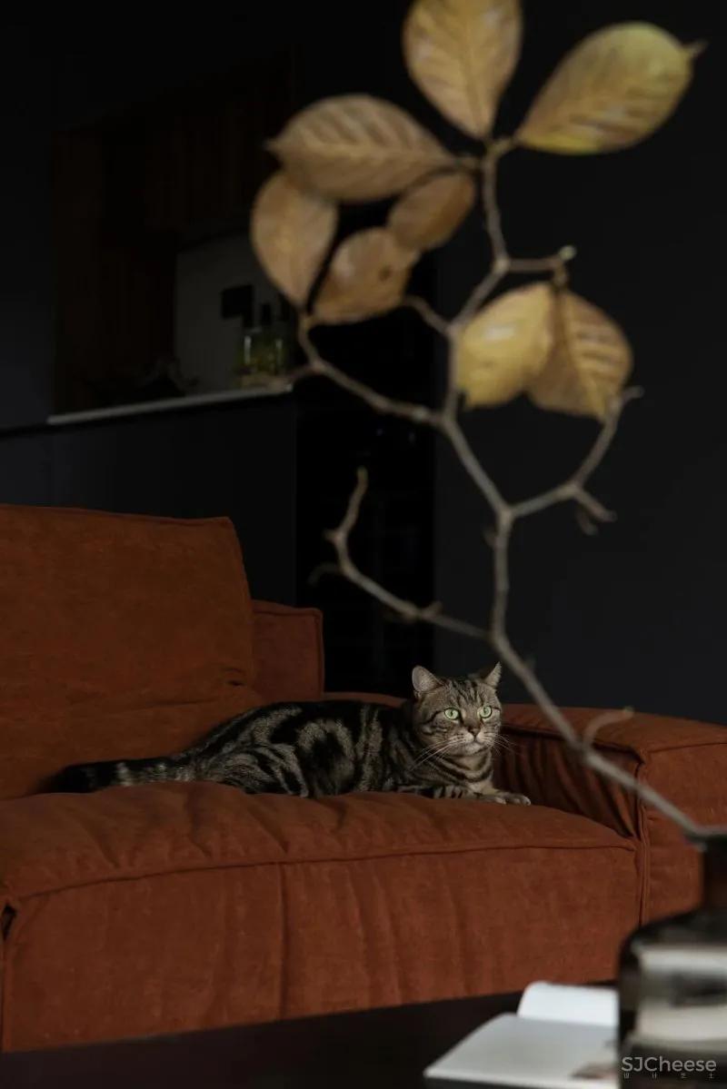 壹言设计 × 私宅：连续的风景