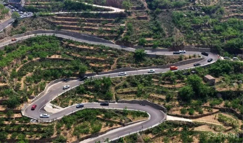 新作 十二个宅基地的新生：泰安东西门村活化更新 孟凡浩 gad · line studio