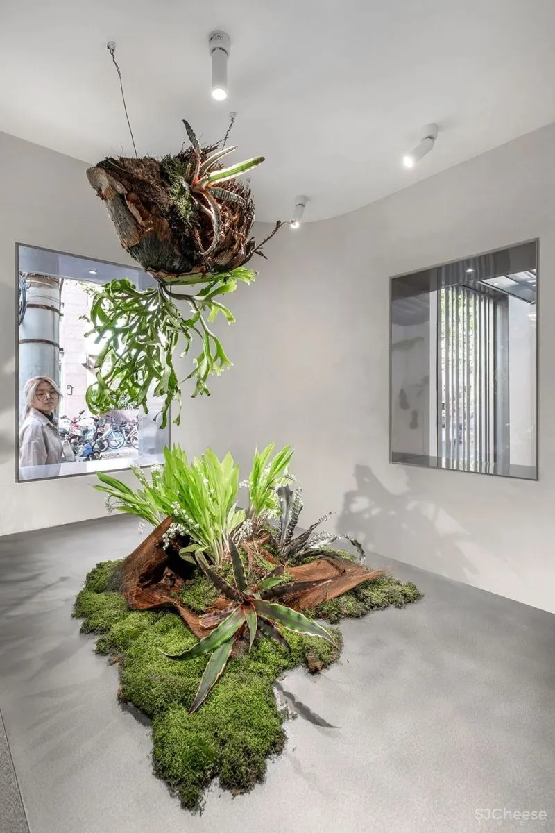 Absolute精品花艺店,上海