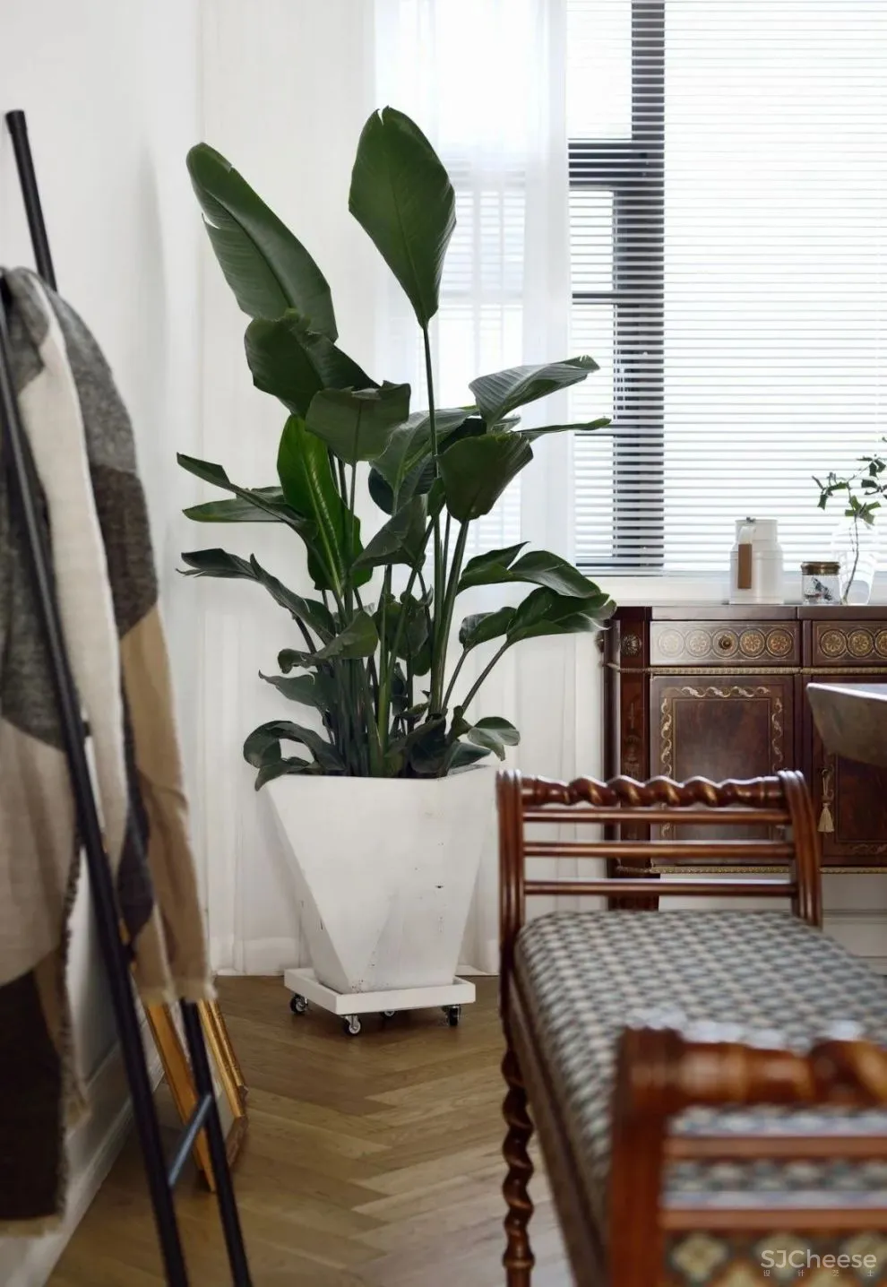 梧桐叶的圣诞派对 LEAST 设计