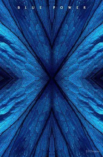 极趣、创意,get沁入式梦幻体验!