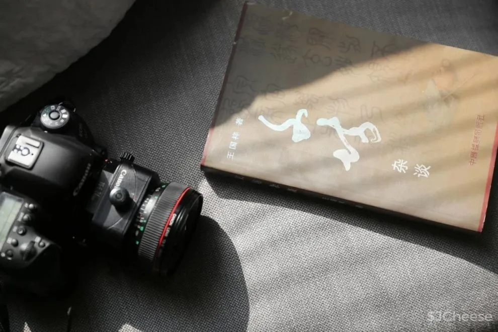 梧桐叶的圣诞派对 LEAST 设计