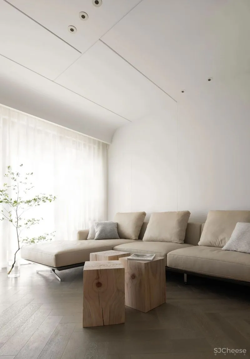 一片安神林 DNA设计